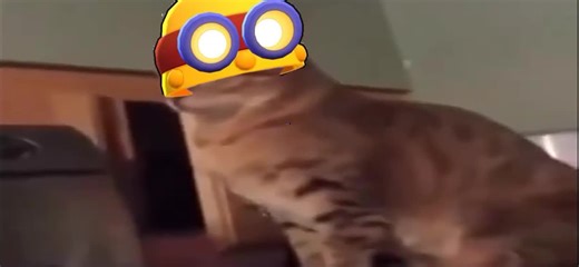 Brawl Stars: Jacky and Carl Highlight