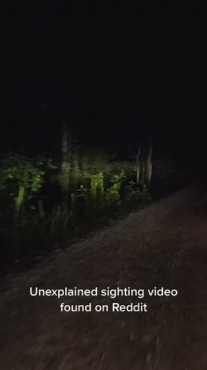 Um... someone wanna explain this? #alien #aliens #aliensighting #terrestrial #cryptozoology #cryptozoo #unexplained #caughtoncamera #creature #creepy