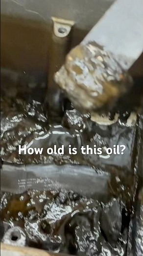 Reviving a Gunky Ford Y-Block After Decades of Neglect!