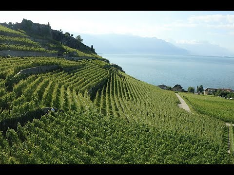 Swiss Agriculture
