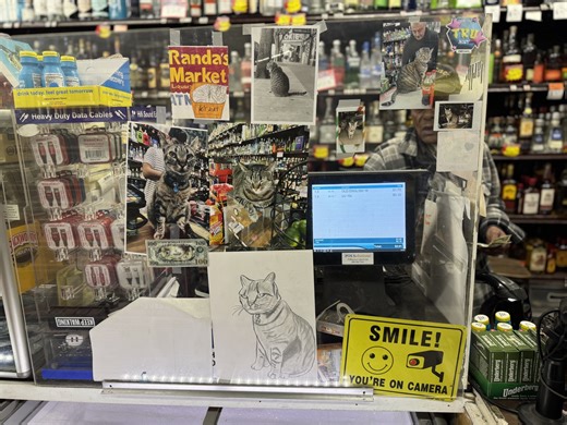 Video of KitKat killing by Waymo undercuts company's claim