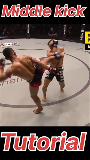 Middle kick tutorial #kicktutorial #muaythai #kick #tutorial #martialarts #selfdefense #roundhouse