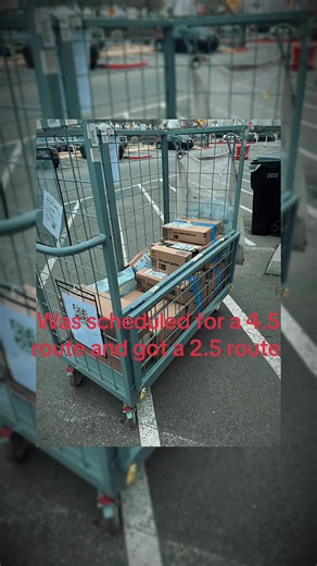 Experience as an Amazon Flex Delivery Driver