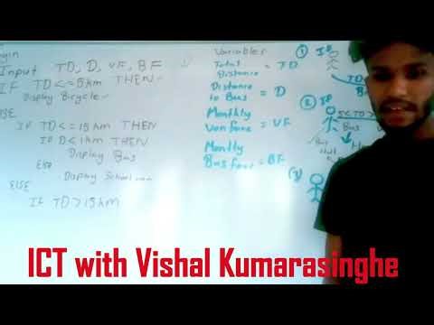 2022 O/L ICT Paper discussion / Programming question of 2022 O/L ICT paper / Programming Questions