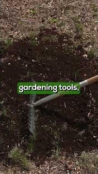 Improve Your Lawn FAST with Compost Topdressing