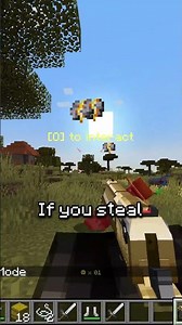 Law in minecraft