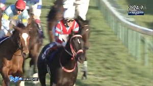 2021ジャパンカップ(GI)優勝コントレイル 日本ダービー馬4頭、海外からG1馬3頭が参戦した今年のジャパンカップ(GI)。最後の直線で三冠馬コントレイルは力強く抜け出すとオーソリティに2馬身差をつけてゴール。有終の美を飾りました。 福永祐一騎手、管理する矢作芳人調教師ともにジャパンカップ初制覇です。 > | JRA（日本中央競馬会）
