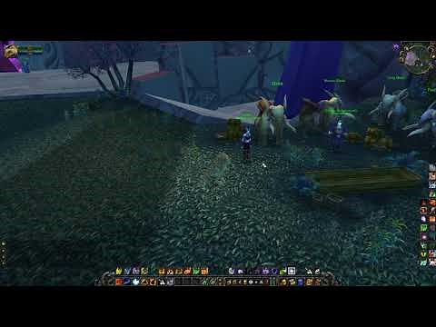 Exodar Riding Trainer Location, WoW TBC (Draenei Riding Trainer)