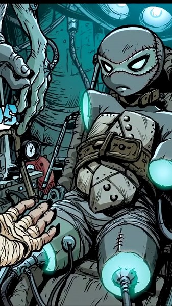 Venus The First Female Turtle Explained in 60 Seconds