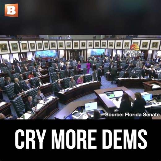 Democrat Screams Through Chamber on Bullhorn After Florida Legislature Passes Redistricting