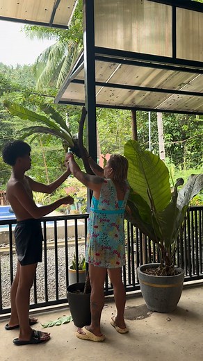 59K views · 1.6K reactions | Gardening sa loob ng Function hall. | Brenda Mage | Facebook