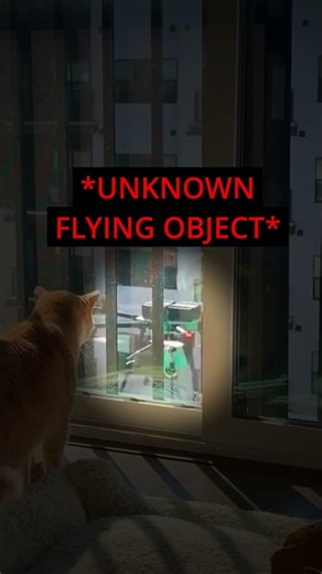 “Am I About To Get Sh*t?!” 😳🛸