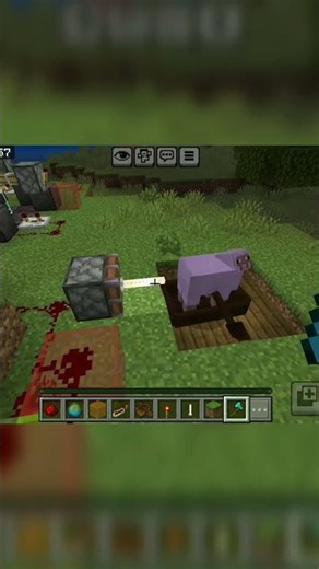 minecraft sip be like🐑