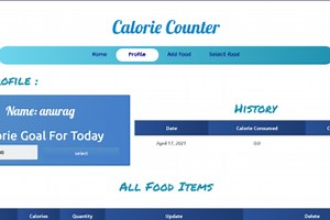 Calorie Counter
