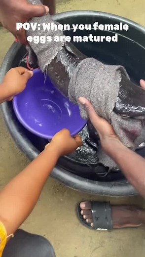 Stripping eye #fypシ #fyp #