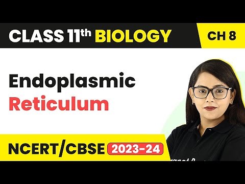 Endoplasmic Reticulum - Cell: The Unit of Life | Class 11 Biology