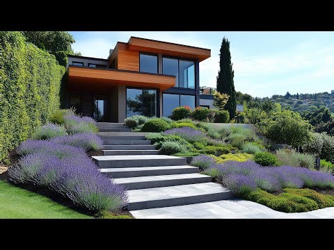 The Best Sloped Front Yard Landscaping Ideas to Maximize Functionality and Style