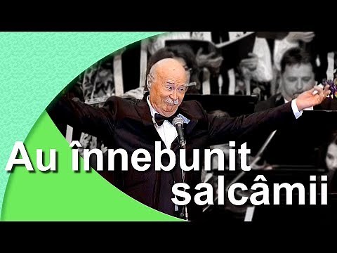 Tudor Gheorghe Au innebunit salcâmii