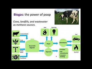Renewable energy: biofuels (Week 10, Lecture 1)