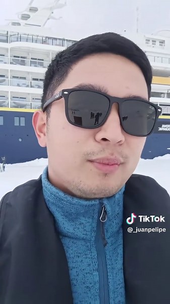 Discover Adélie Penguins: Unique Wildlife Insights