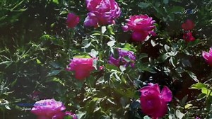 224K views · 4.5K reactions | music: ERNESTO CORTAZAR - Infinite...