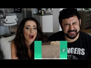 Try Not To Laugh or Grin - Funny Animals Fails Vines Compilation 2016 REACTION!!!