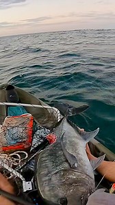 106K views · 1.2K reactions | Getting Taxed in the Kayak! 麗  @mat.svenson  Taxman Gear! ‍☠️ fuckthetaxman.com #fishing #fisherman | Fk The Taxman | Facebook