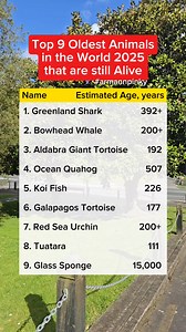 7.5K views · 20 reactions | 9 oldest animals in the world thay are still alive in 2025. #oldest #animals | Arman Fernando Andres | Facebook