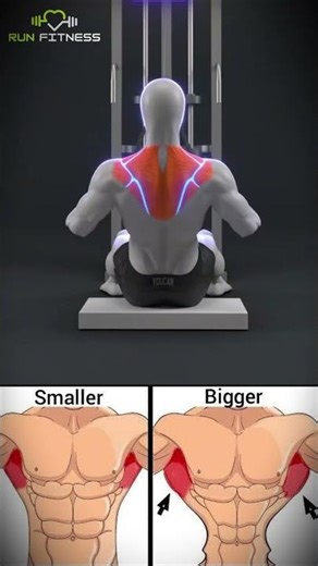 Pulling Exercises #backworkout #backexercise #exercisetips