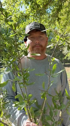 This Small Tool Makes Yard Work TOO Easy