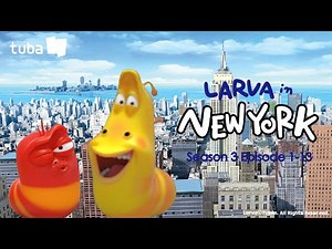Larva in New York Episode 01~13 (Netflix)