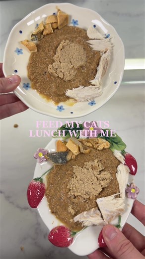 Still getting used to the new setup but I think I love it 😻 We tried out some of the new foods we got, I wasn’t expecting the honest kitchen cate to be so liquidity and I was so excited for them to try the open farm silky mousse I’ve been seeing it everywhere. I did a Salmon & Cod theme for their lunch today safe to say I think they loved everything 😋💗 Menu: 🍽️ @The Honest Kitchen Salmon & Cod Cate @Open Farm Pet Salmon & Cod Silky Mousse @PureBites Freeze Dried Salmon @Pawsitive Dreams Pet 