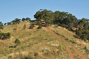 Black Hill Conservation Park - Alchetron, the free social encyclopedia