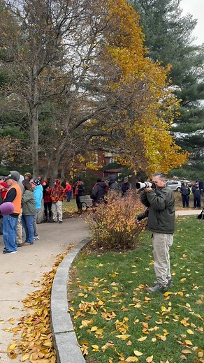 Veterans Day Ceremony in Portsmouth. | City Hall Portsmouth NH