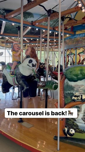 3.5K views · 239 reactions | After weeks of waiting for a specific replacement part, our carousel is running again! A storm at the end of July damaged our carousel. We are thrilled to have it back up and running for the last few weeks of summer. The carousel is open daily from 10am - 4pm. Rides are $3. | Henry Vilas Zoo | Facebook