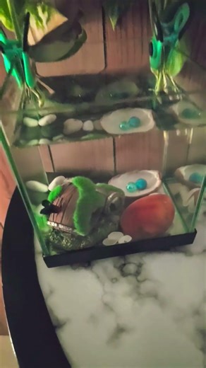 singing to Vera.. 🐠 🎵 #randomclips #internetculture