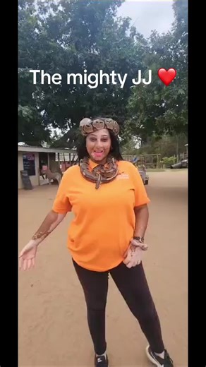 Flag Animal Farm on TikTok