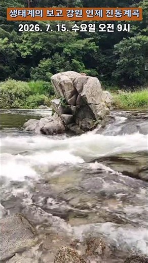 [Scenery] Jindong Valley in Inje, Gangwon-do: A Treasure Trove of Ecosystems