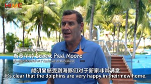In Hainan, we witnessed an extraordinary story of maternal love. Naya, a bottlenose dolphin from Spain, had once lived 11 years in Europe without the natural conception of a baby. Things began to change when she came to Lingshui, Hainan. She adapted to the new environment, got pregnant two years later, and gave birth to Lingbaoer, China’s first EEP baby dolphin. | Hainan Touch
