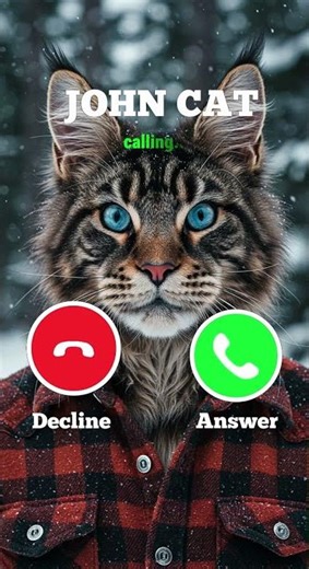 The cat is calling from the bathroom sink.