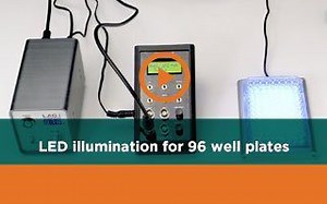 Optogenetics In Vitro: Illuminating Cells in Microplates