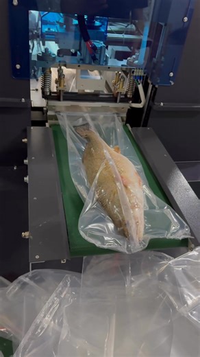 Do you know frozen fish vacuum packing machine?#packingmachine #packagingmachine #baggingmachine #machine #factory #packing #package #frozenfish #vacuummachine | Foshan Go Global Technology Co.,ltd