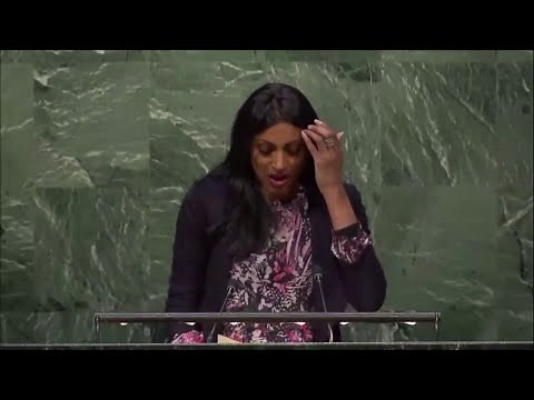 Dr. Shini Somara, UN Speech February 10th 2017
