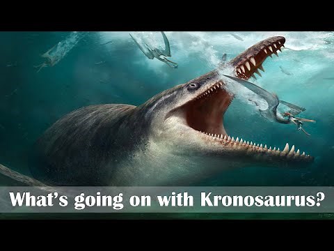 What's going on with Kronosaurus?