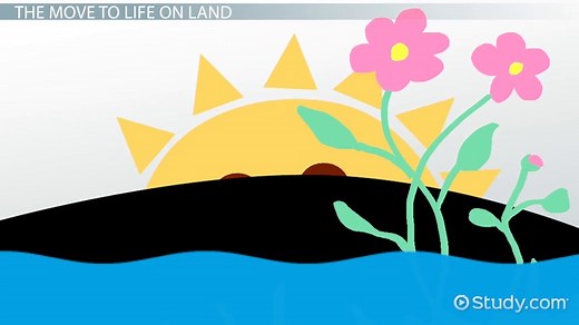 You must c C reate an account to continue watching