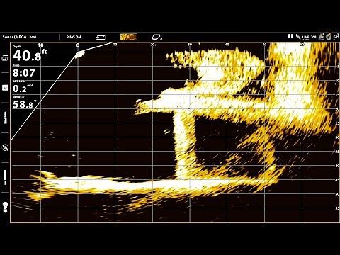 HUMMINBIRD MEGA LIVE - Full Review - What You Need To Know About Live Sonar