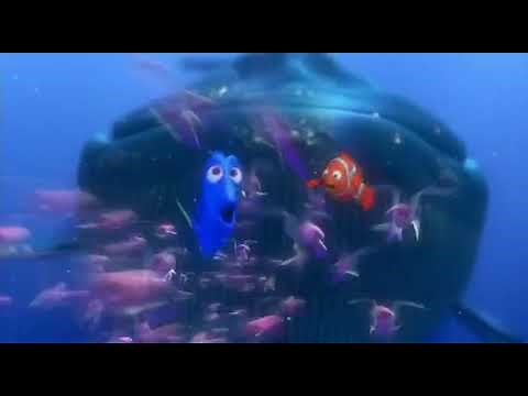 Finding Nemo: - Swim away! - Oh, look, krill!