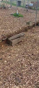 4.2K views | Neutron promises to help you eat healthy. He LOVES carrots 凌 and he won't turn down a belly rub, or two.凉冀 Neutron is one of the longest residents. Shelter is open until 4 pm today and reopens Tuesday at 9 am. Hall County Animal Services 1688 Barber Road Gainesville, GA 30507 678-450-1587 ext 9 Hevans@hallcounty.org Acrews@hallcounty.org Smiller@hallcounty.org Adoption Hours Tuesday to Saturday 9 am to 4 pm | Hall County Animal Shelter Volunteers | Facebook