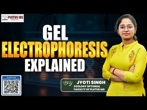 Gel Electrophoresis | Principle, Process & Applications | Jyoti Ma’am Plutus IAS