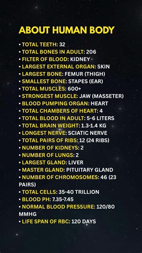 Amazing Facts About The Human Body You Should Know#amazingfacts #shorts
